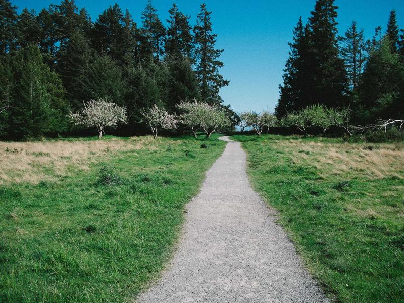 青瓦红墙<br>sybmuzg.cn 故宫营造法式